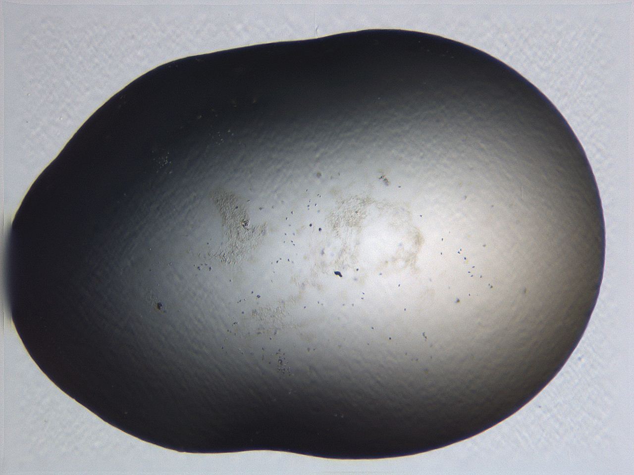 0634_E9_ImagerDefaults_3.jpg