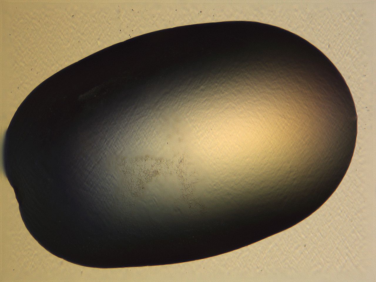 0634_E12_ImagerDefaults_0.jpg