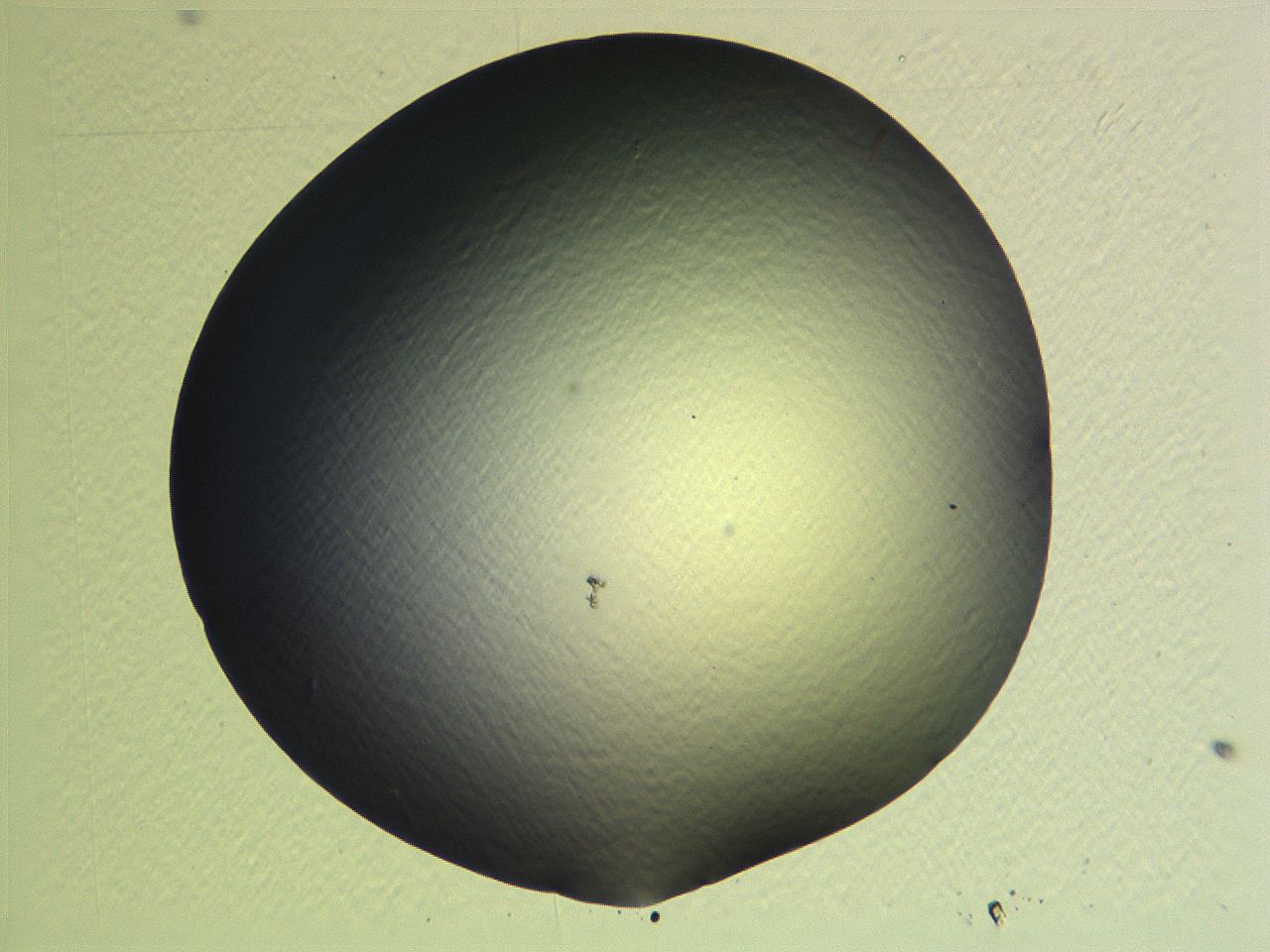 0634_F1_ImagerDefaults_0.jpg