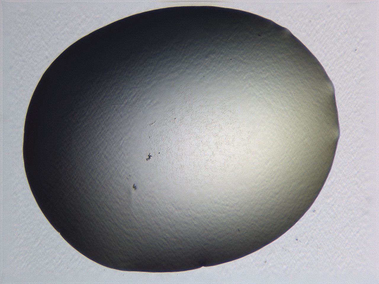 0634_F2_ImagerDefaults_0.jpg