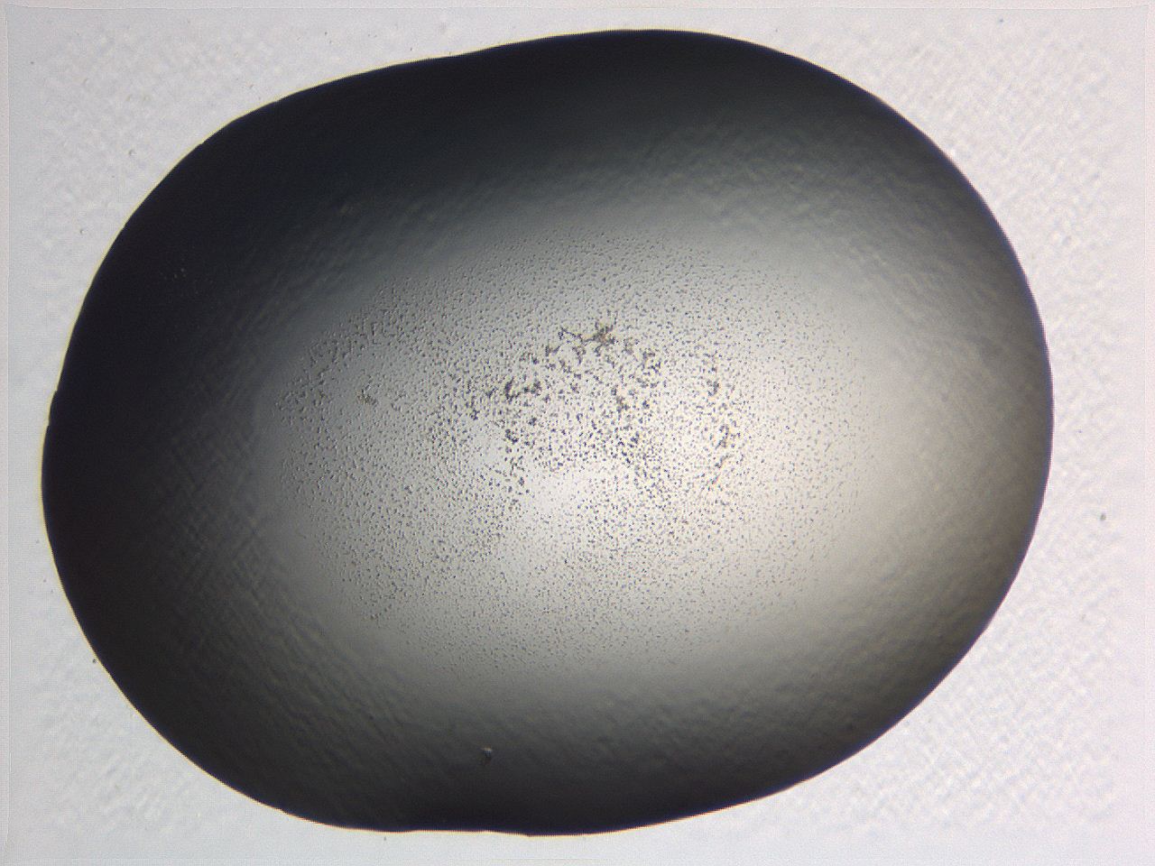 0634_F5_ImagerDefaults_3.jpg