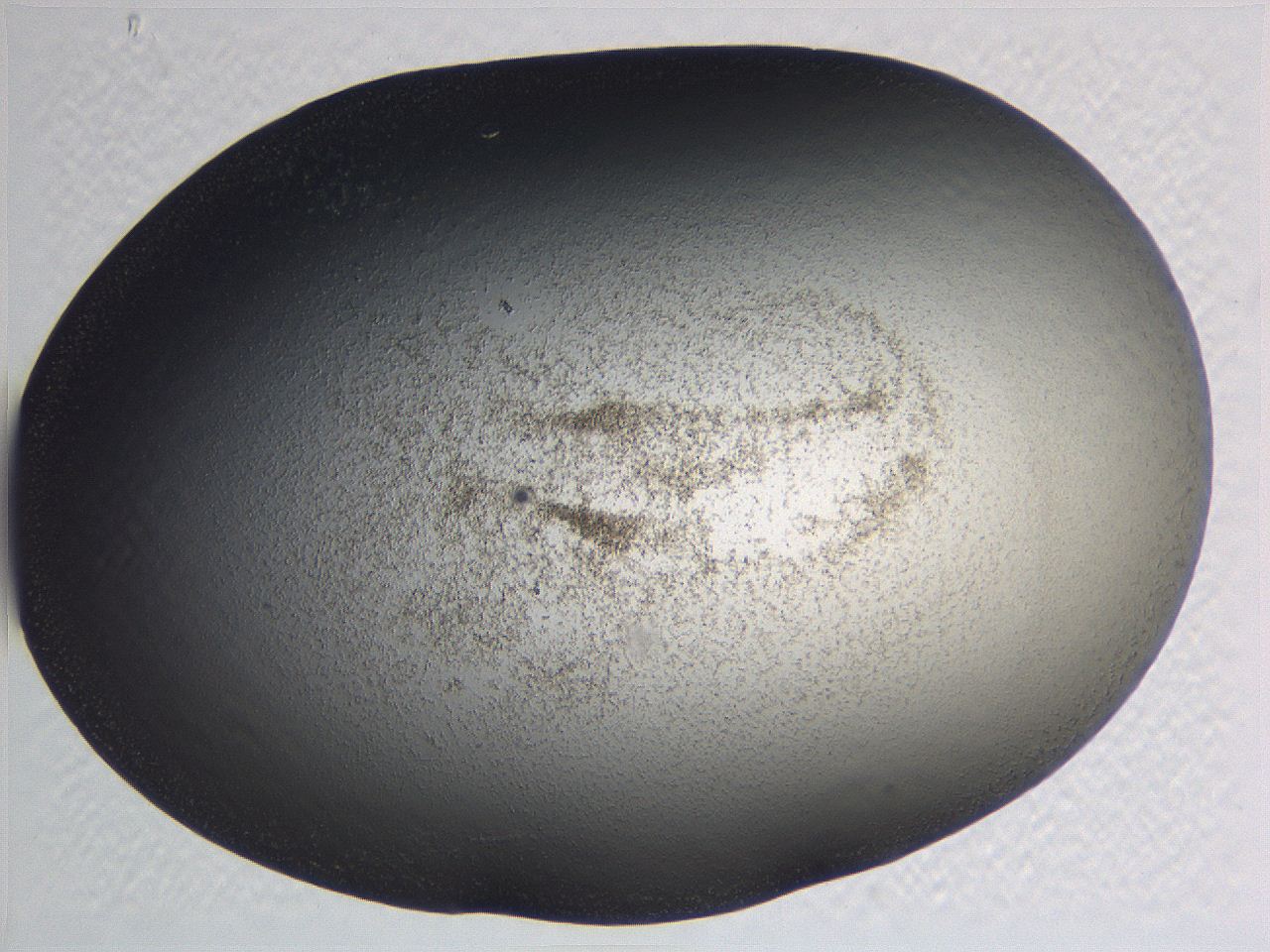 0634_F6_ImagerDefaults_3.jpg
