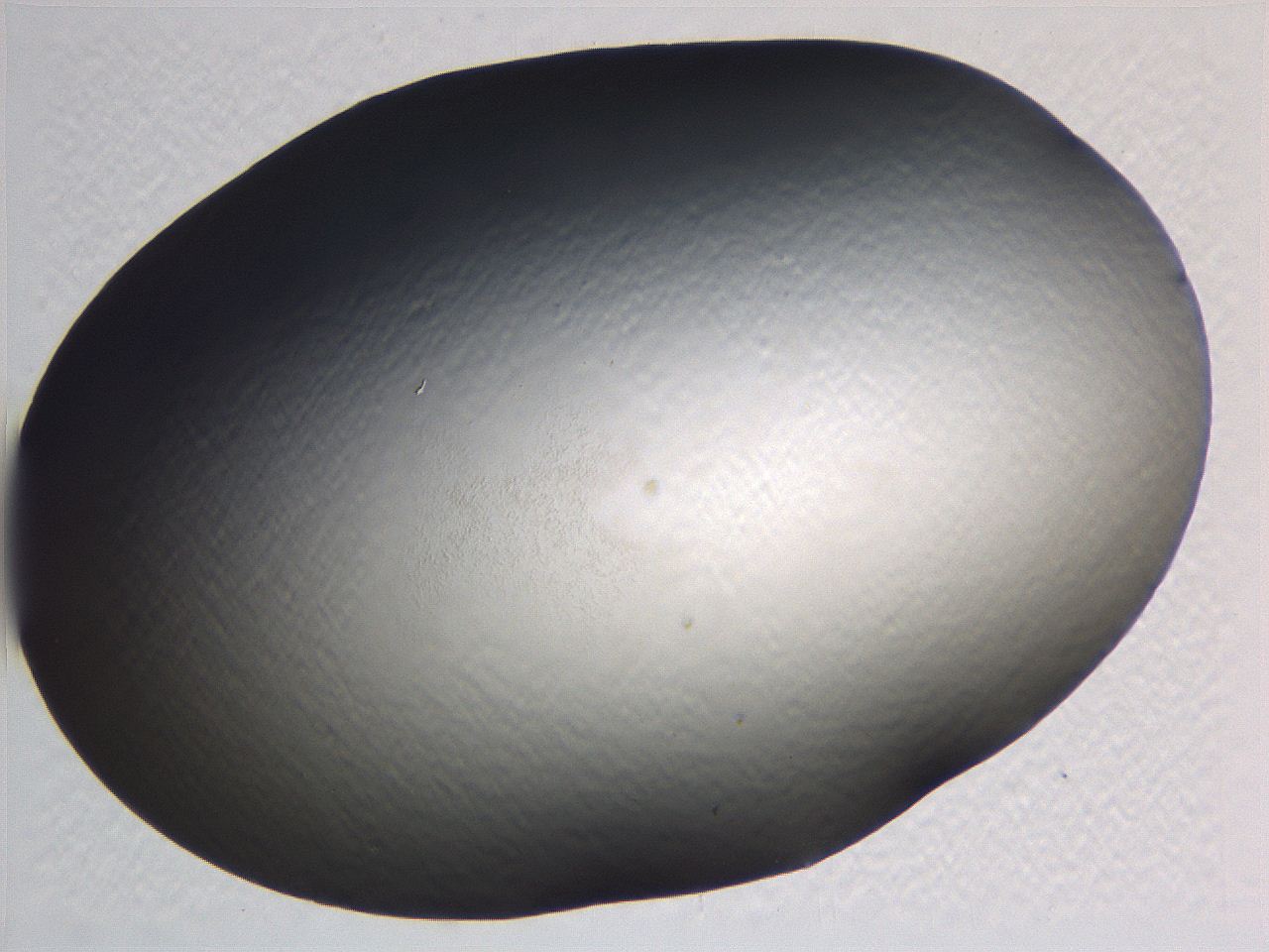 0634_F7_ImagerDefaults_0.jpg