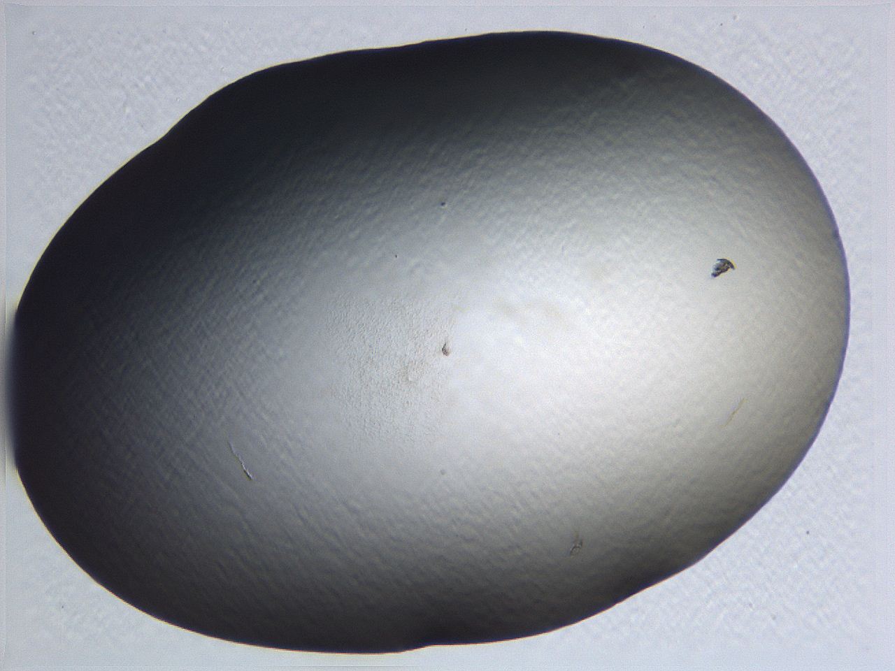 0634_F8_ImagerDefaults_0.jpg
