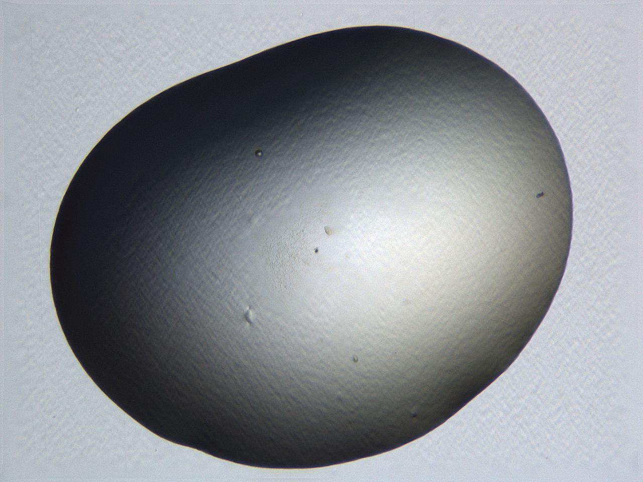 0634_F9_ImagerDefaults_0.jpg