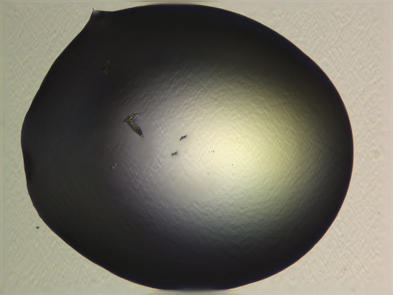 0634_F12_ImagerDefaults_0.jpg