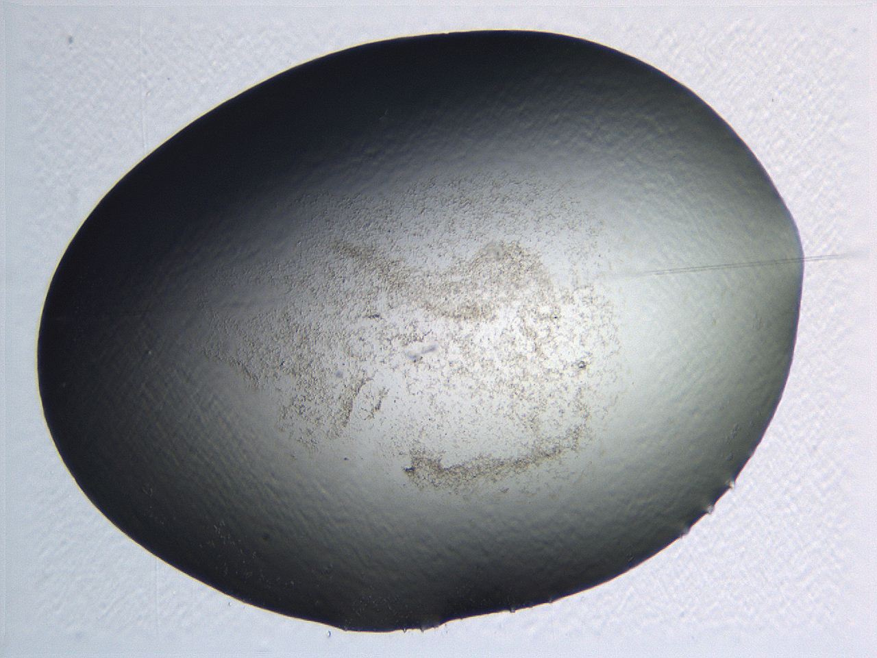 0634_G3_ImagerDefaults_3.jpg
