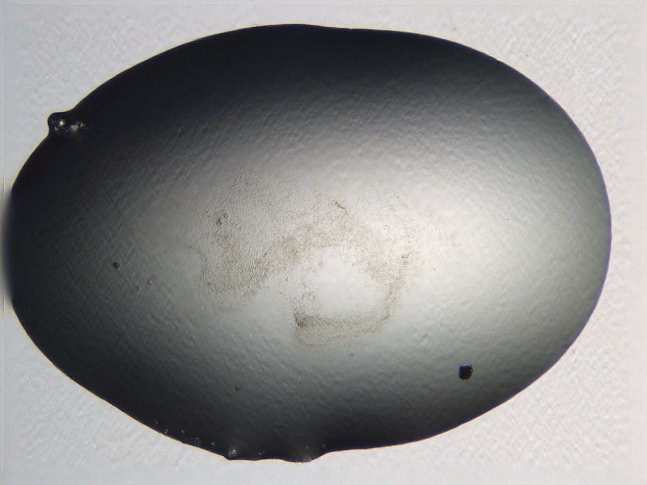 0634_G4_ImagerDefaults_3.jpg