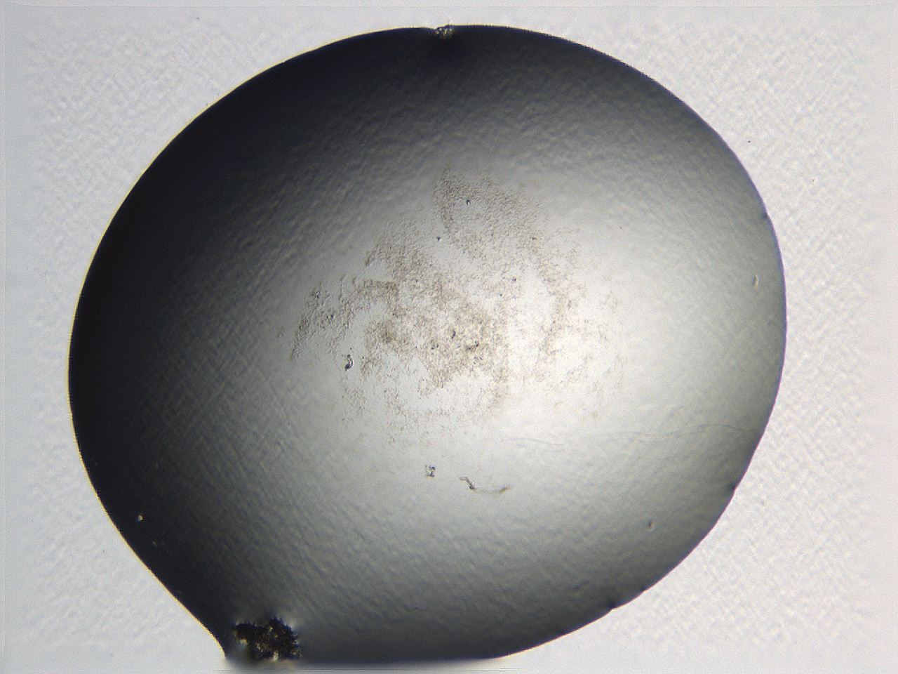 0634_G5_ImagerDefaults_3.jpg