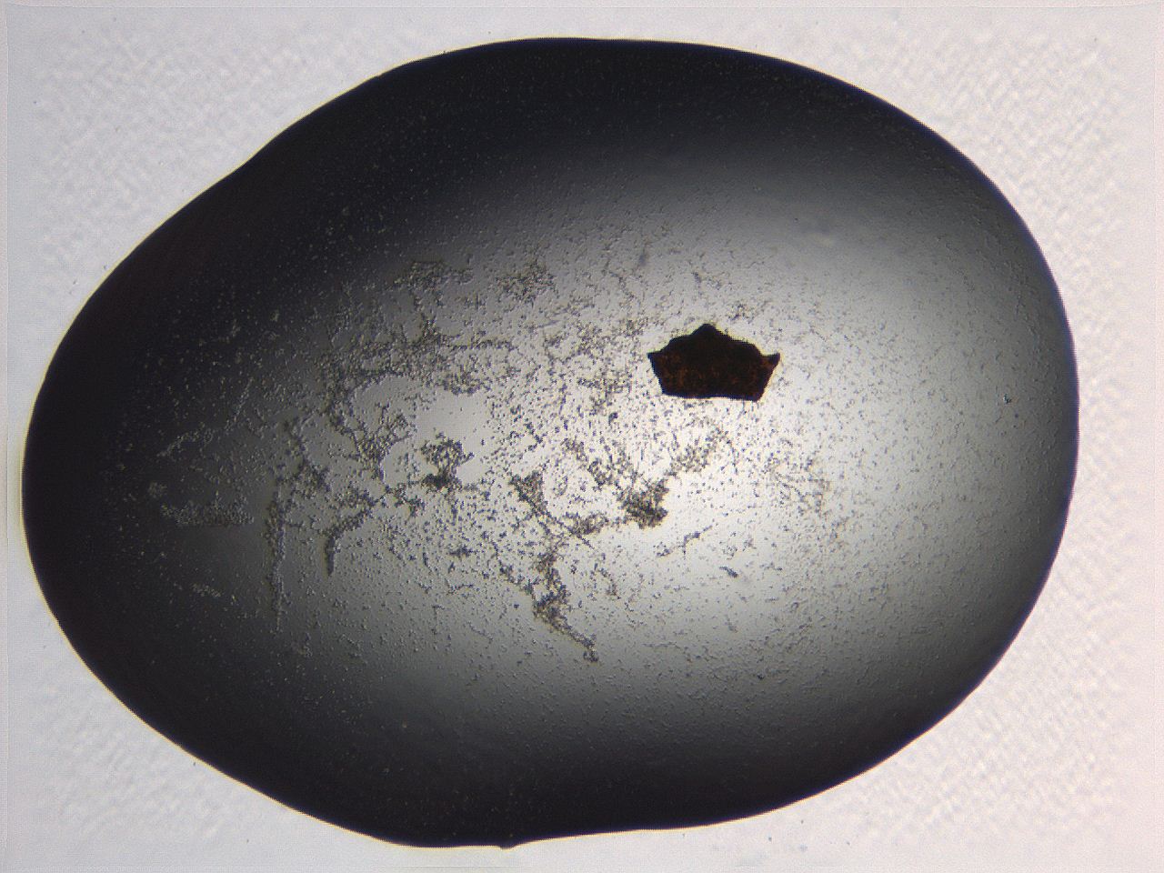 0634_G6_ImagerDefaults_3.jpg