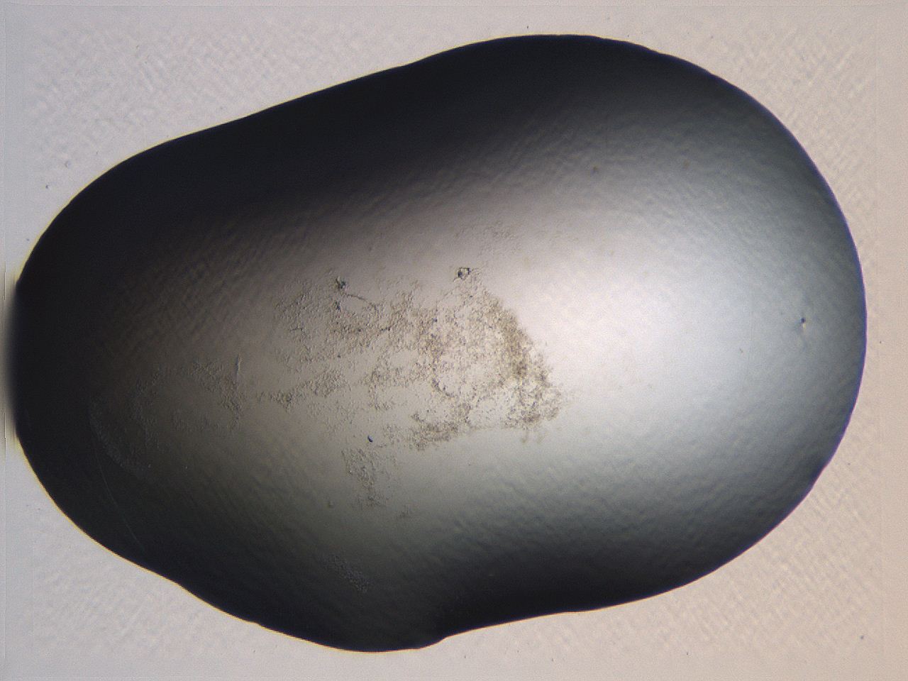 0634_G8_ImagerDefaults_3.jpg