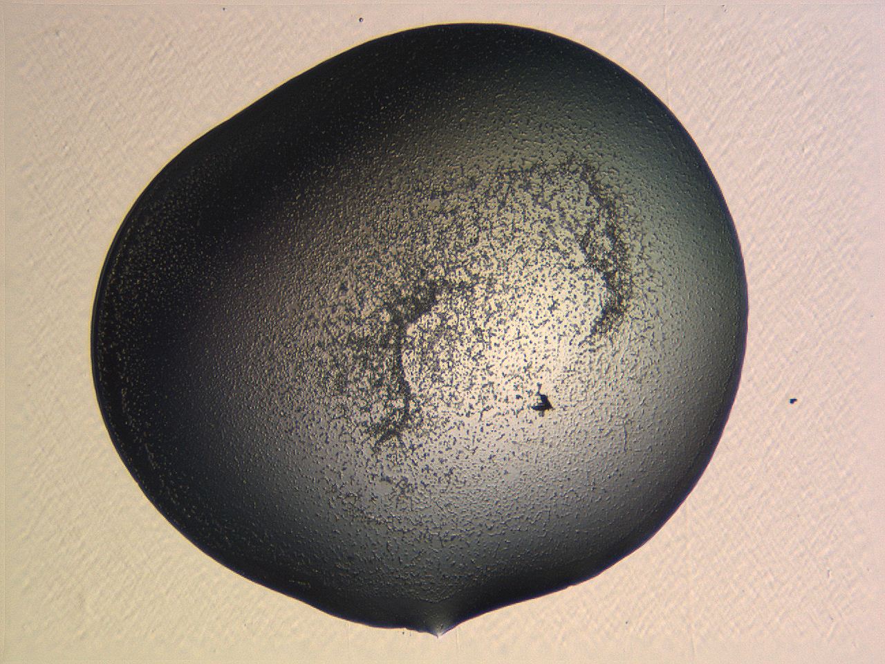 0634_H1_ImagerDefaults_3.jpg
