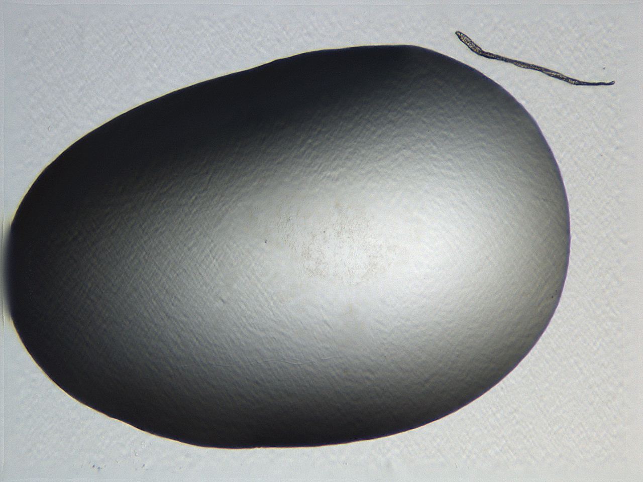 0634_H2_ImagerDefaults_0.jpg