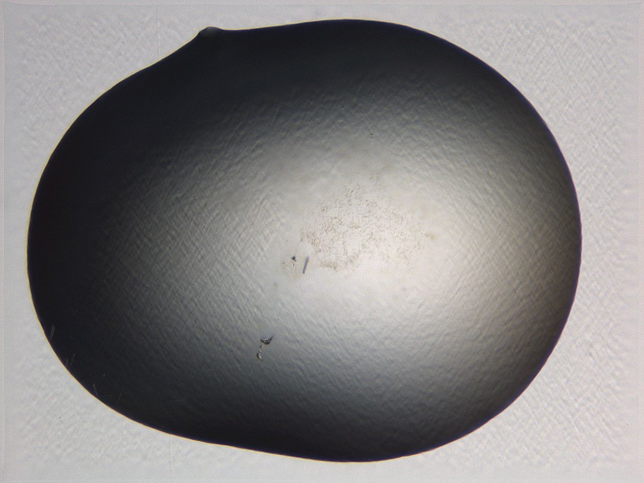 0634_H3_ImagerDefaults_0.jpg