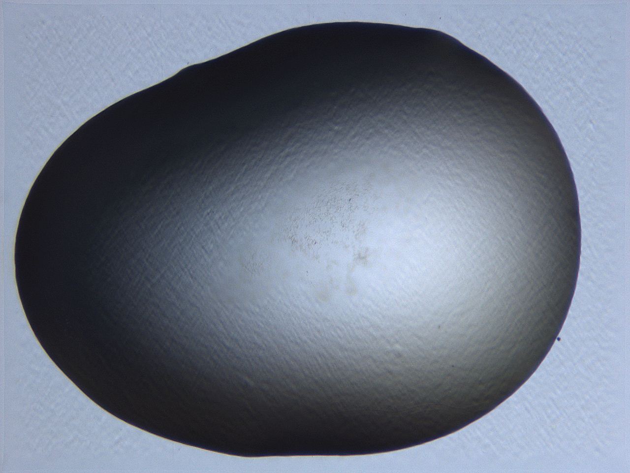 0634_H4_ImagerDefaults_0.jpg