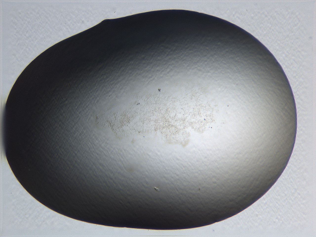 0634_H5_ImagerDefaults_0.jpg