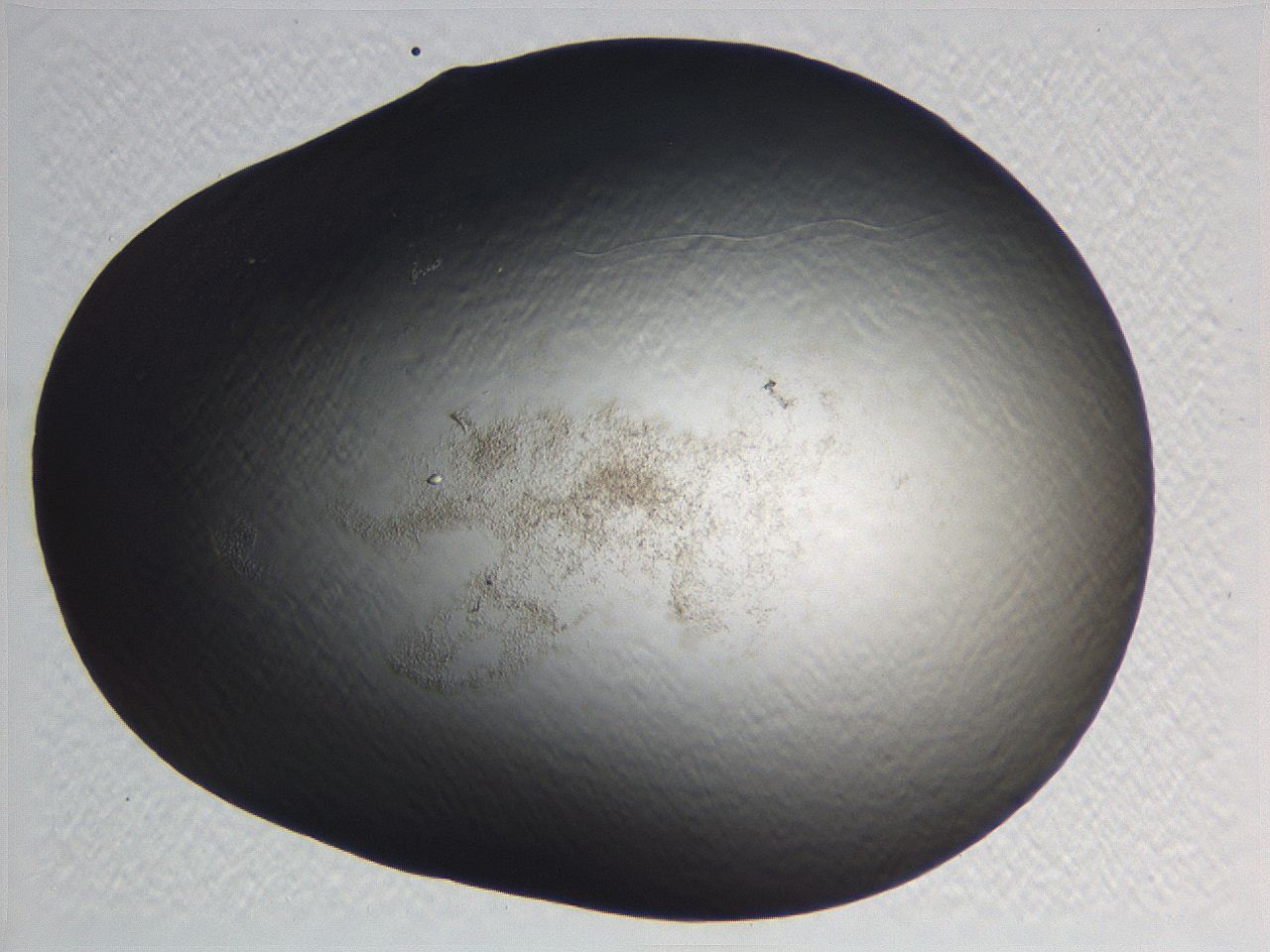 0634_H6_ImagerDefaults_3.jpg