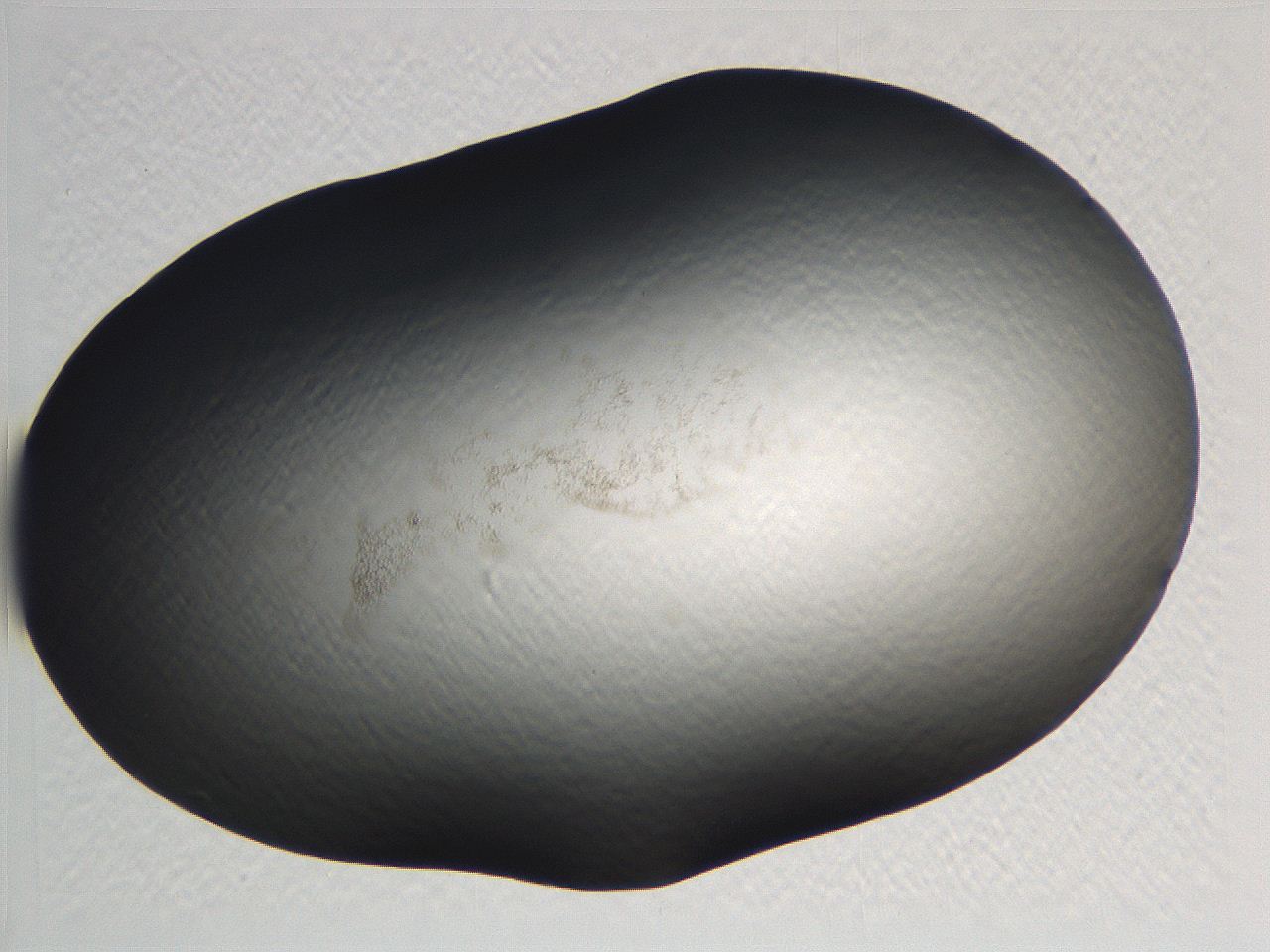 0634_H7_ImagerDefaults_3.jpg