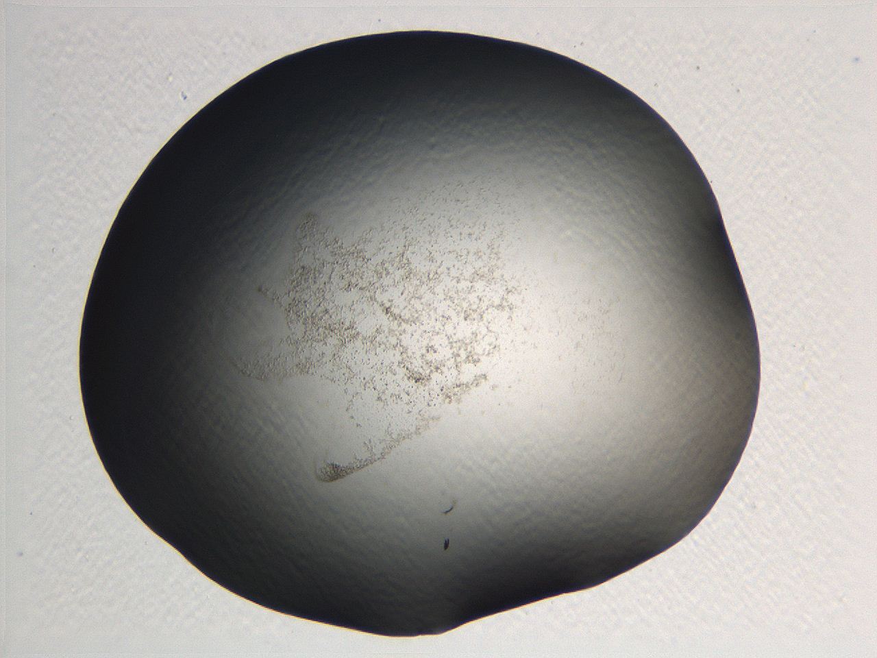 0634_H8_ImagerDefaults_3.jpg