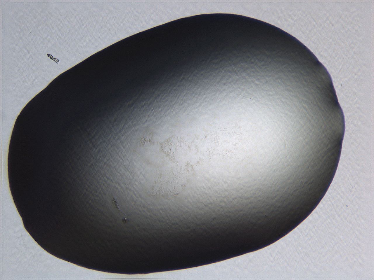 0634_H10_ImagerDefaults_0.jpg