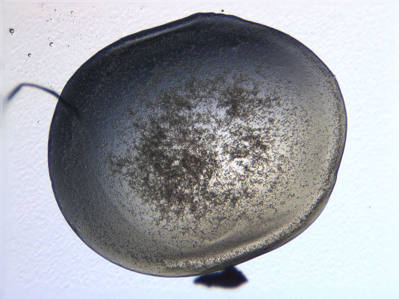 0635_A9_ImagerDefaults_3.jpg