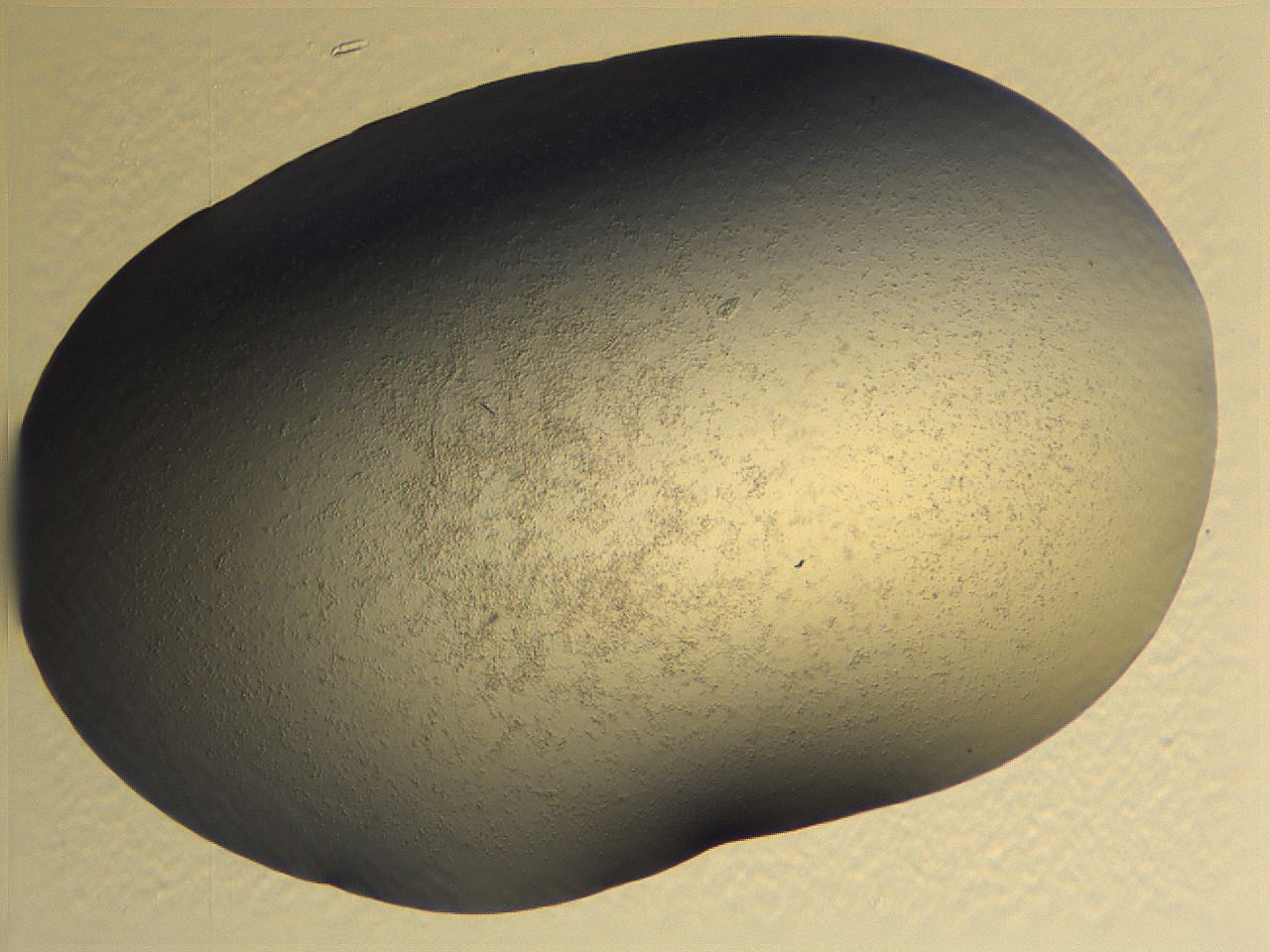 0635_A11_ImagerDefaults_3.jpg