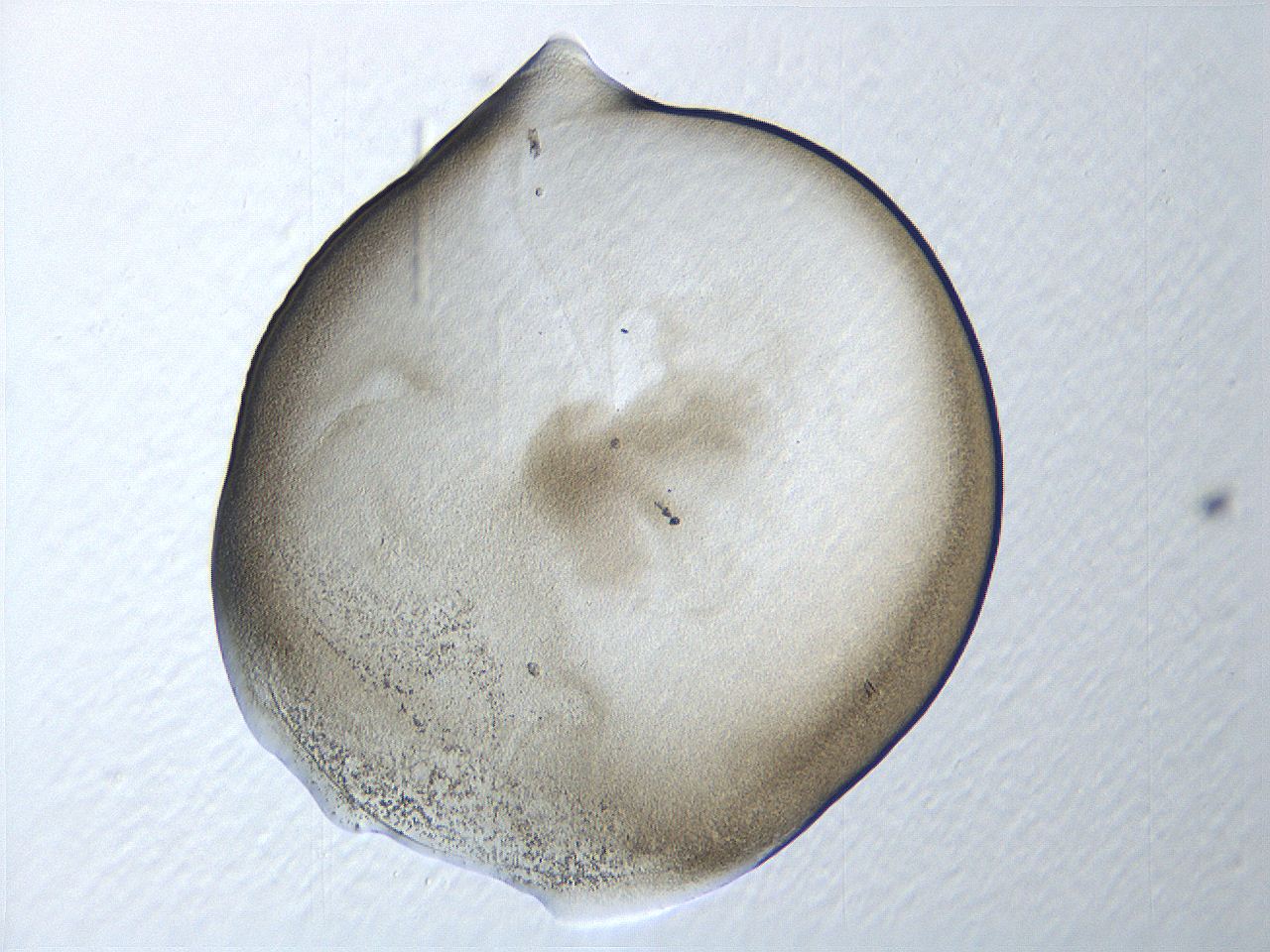 0635_A12_ImagerDefaults_3.jpg
