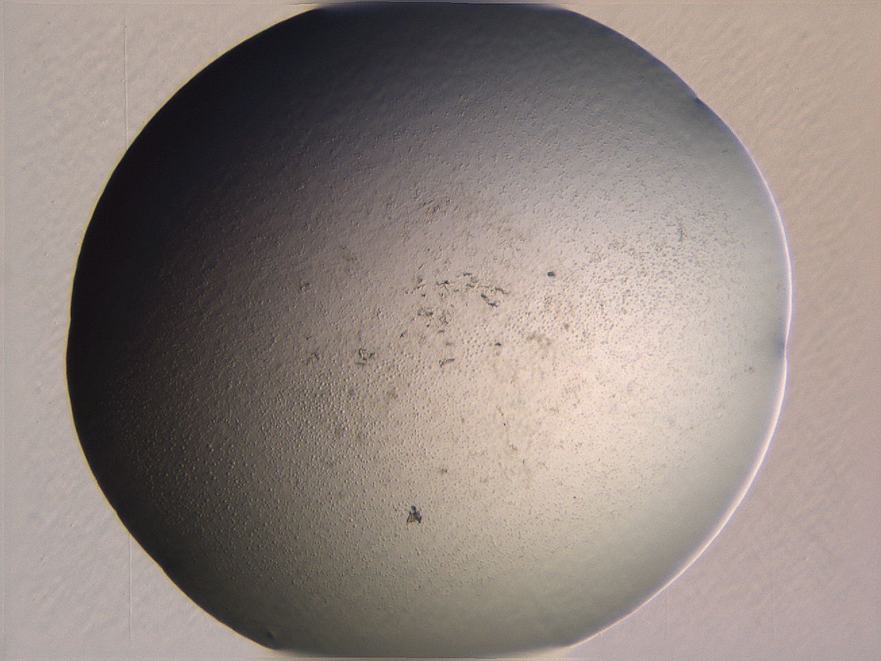 0635_B8_ImagerDefaults_3.jpg