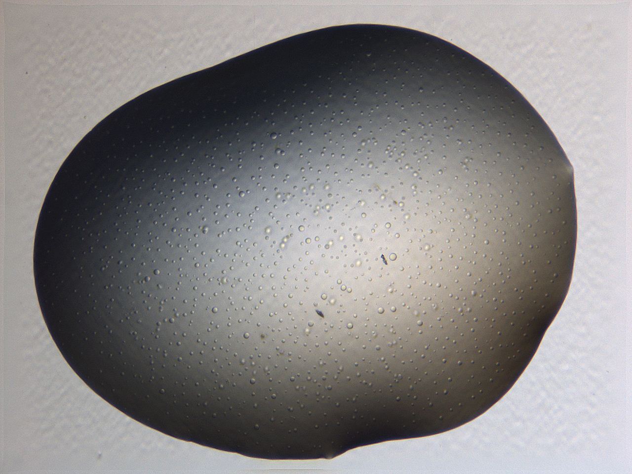 0635_B7_ImagerDefaults_2.jpg
