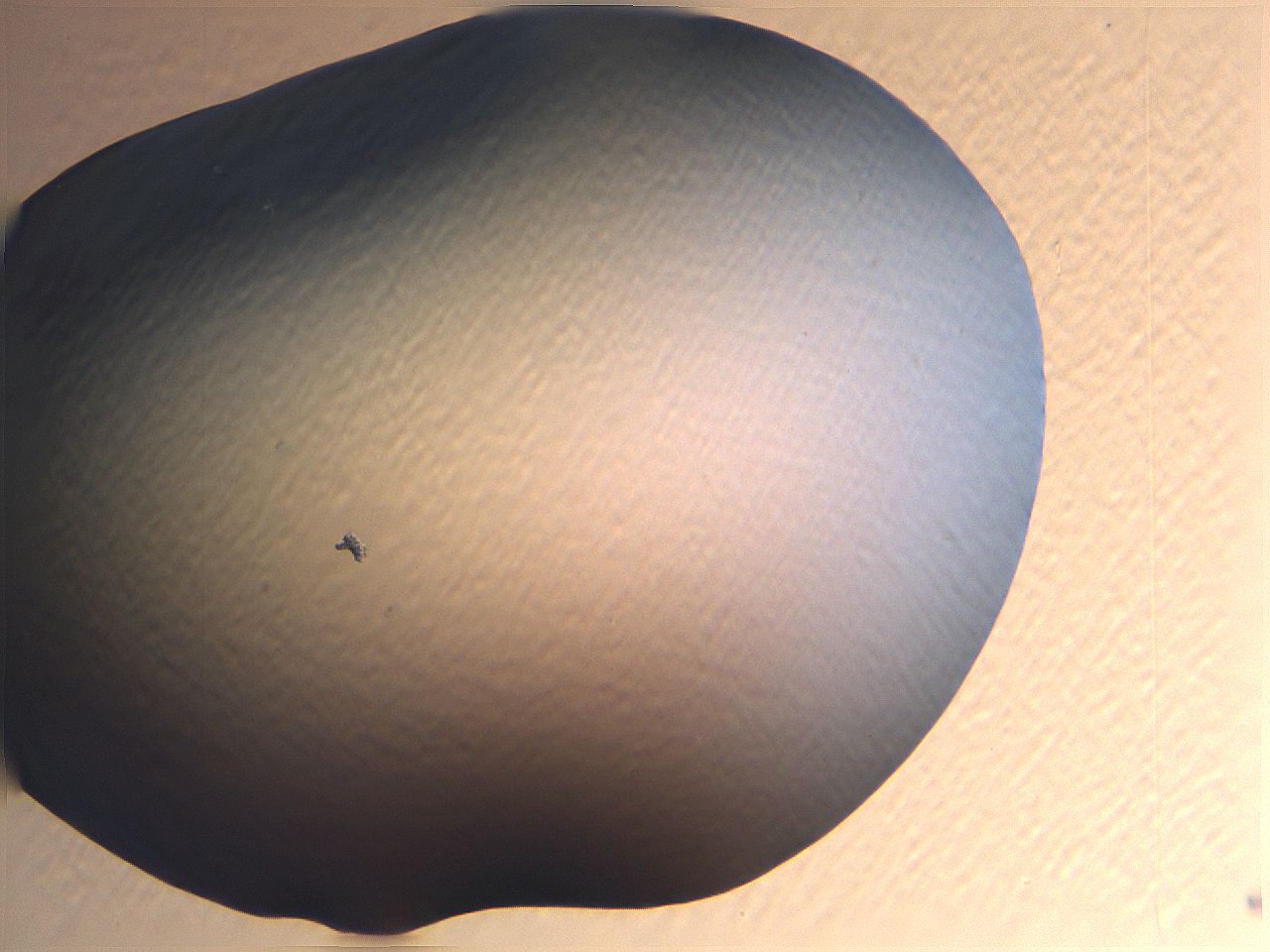 0635_B6_ImagerDefaults_0.jpg