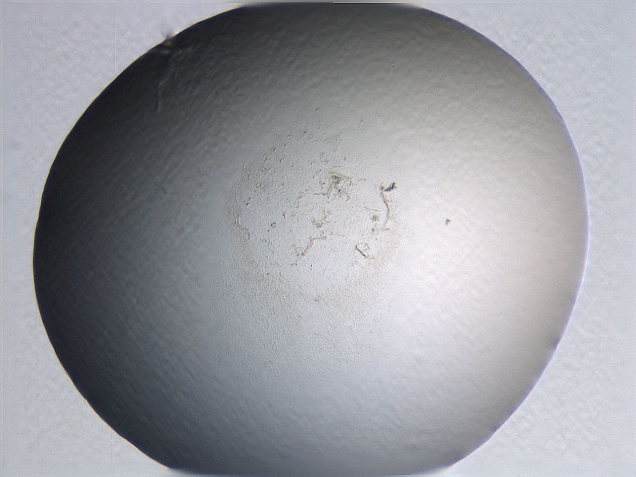 0635_B5_ImagerDefaults_0.jpg