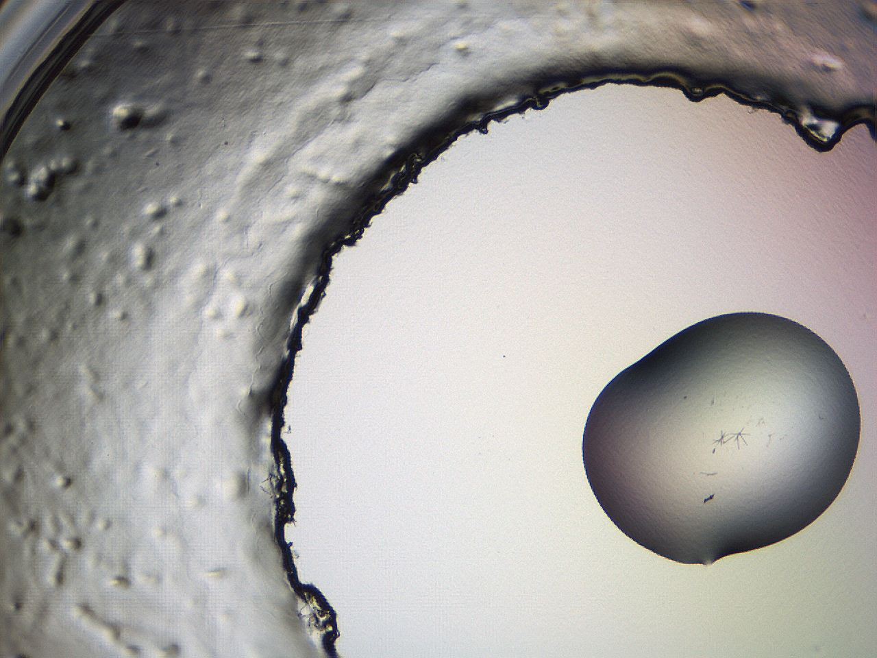 0635_B4_ImagerDefaults_0.jpg