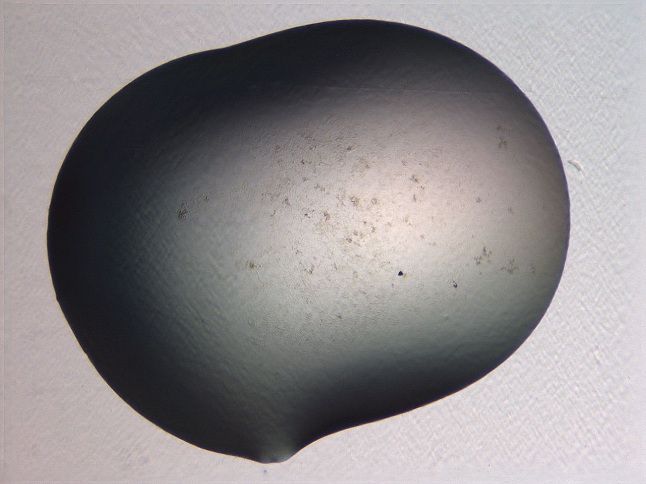 0635_C2_ImagerDefaults_0.jpg