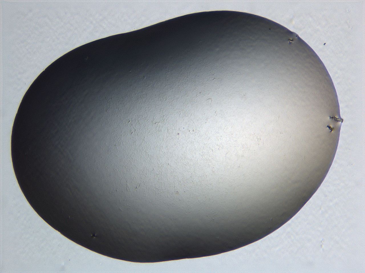 0635_C3_ImagerDefaults_0.jpg
