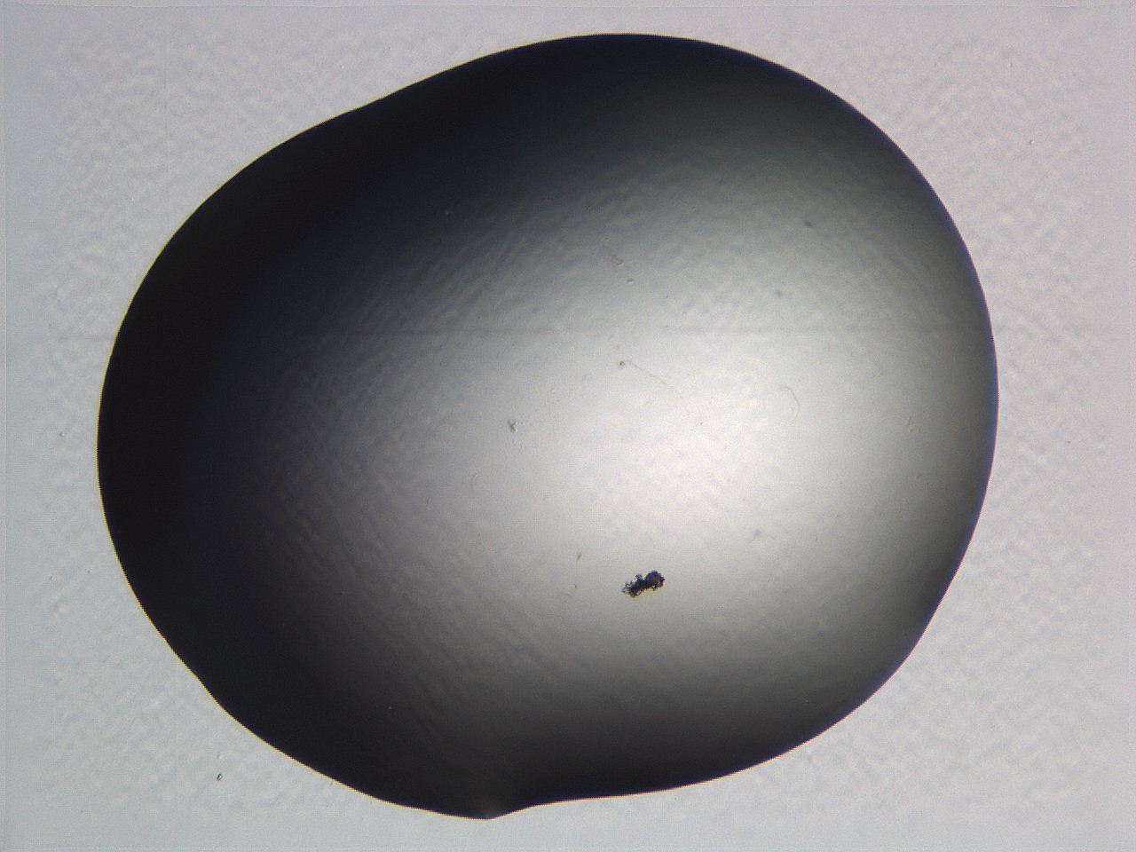 0635_C4_ImagerDefaults_0.jpg