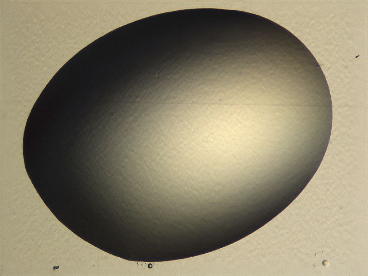 0635_C6_ImagerDefaults_0.jpg