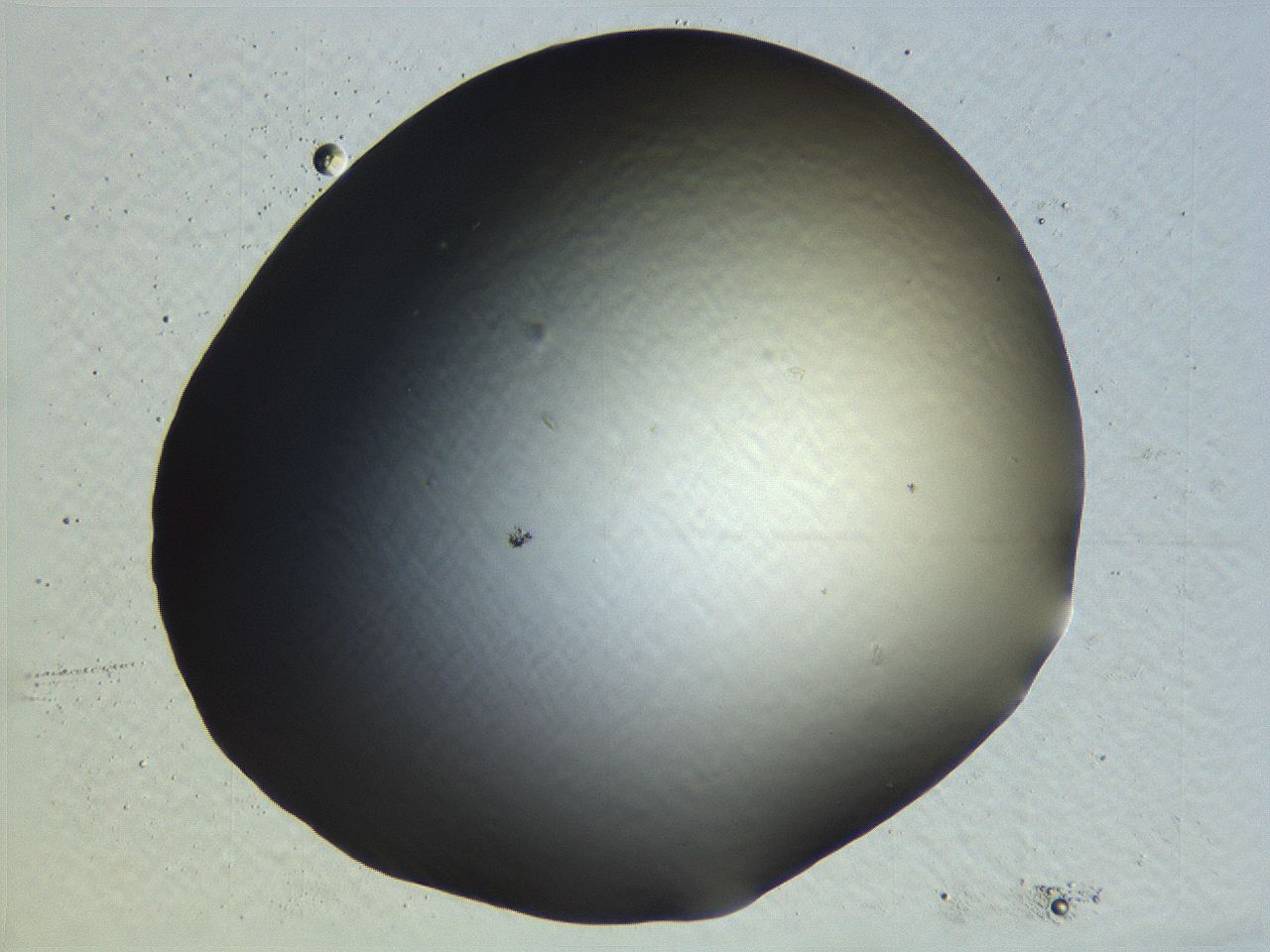 0635_C7_ImagerDefaults_0.jpg