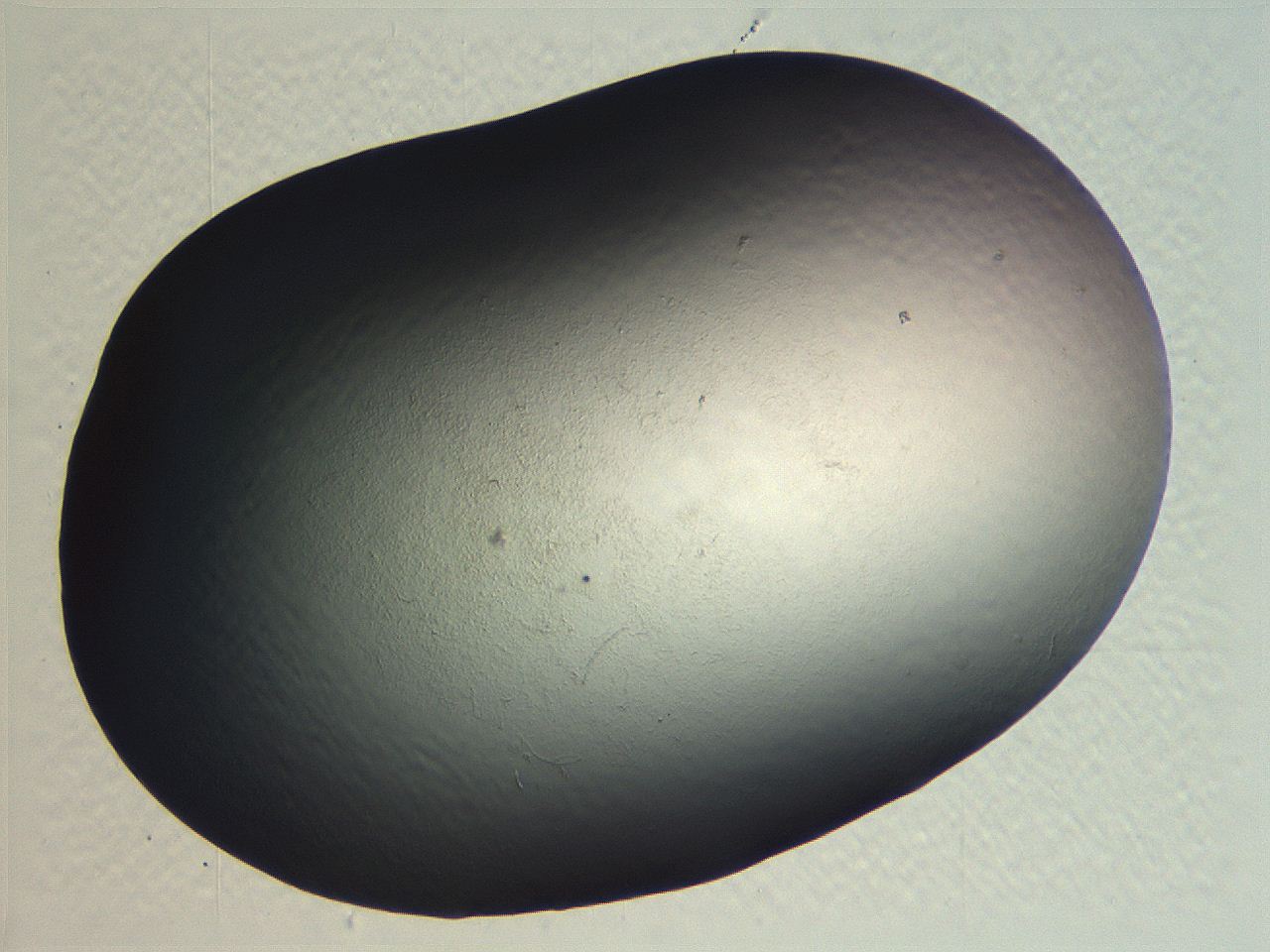 0635_C8_ImagerDefaults_0.jpg