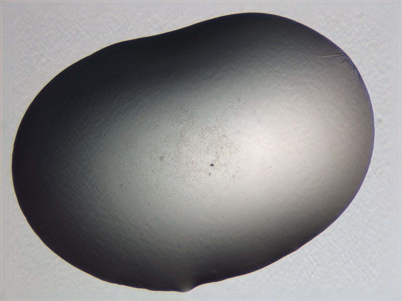 0635_C9_ImagerDefaults_0.jpg