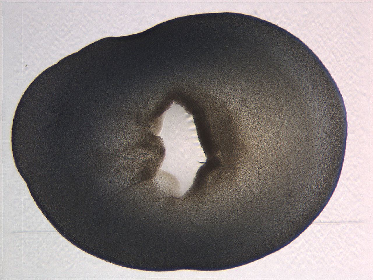 0635_C11_ImagerDefaults_3.jpg