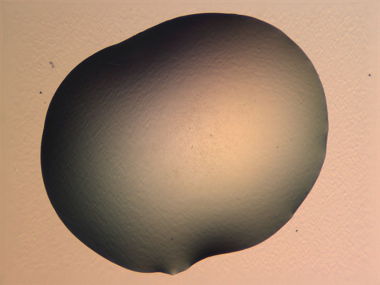 0635_D1_ImagerDefaults_0.jpg