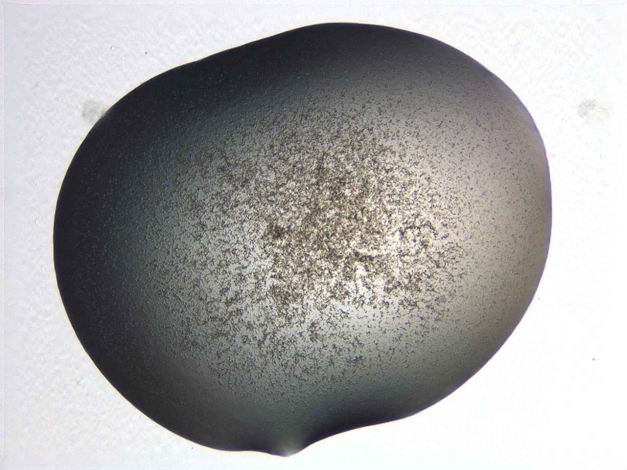 0635_D2_ImagerDefaults_3.jpg