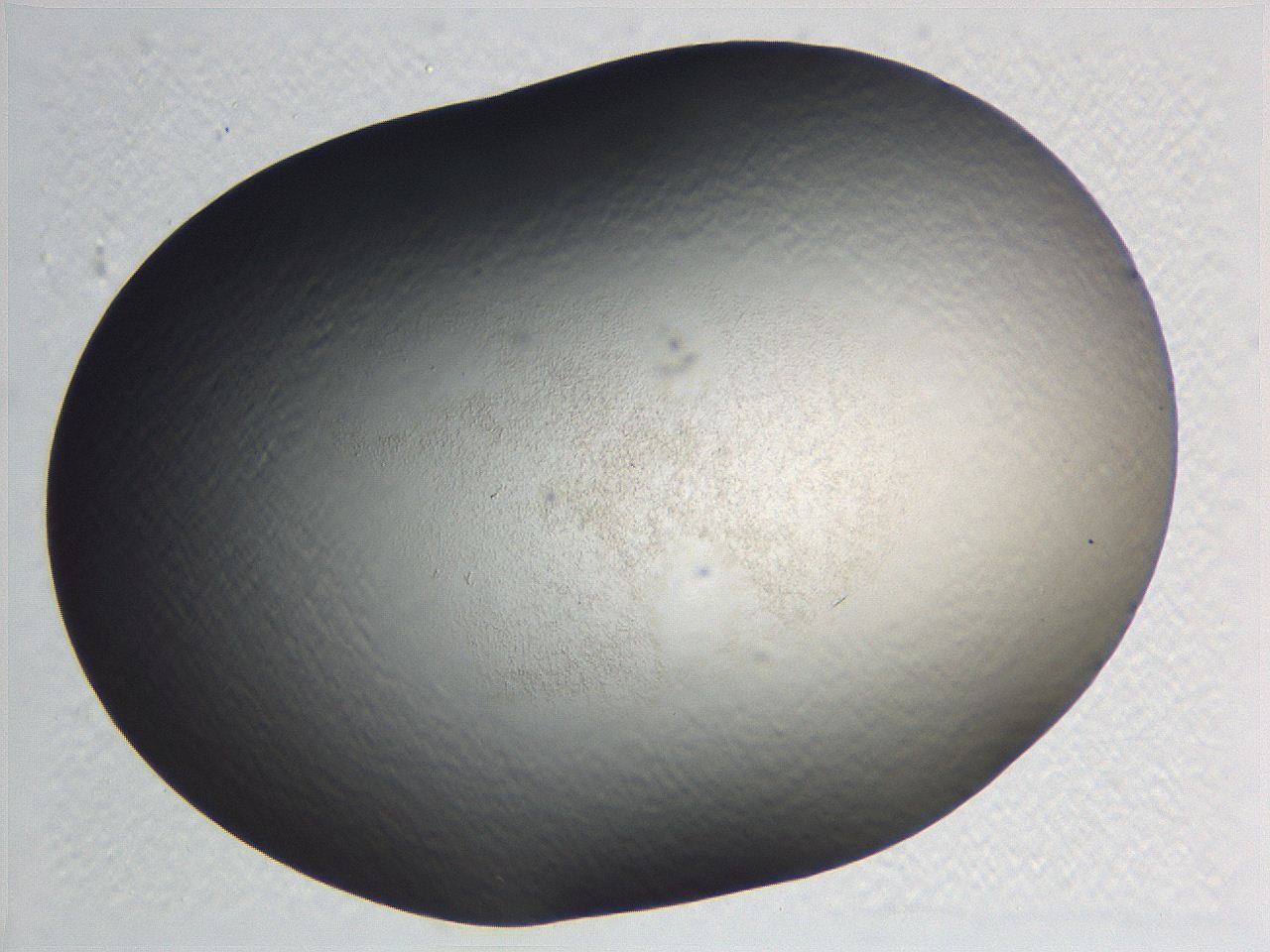 0635_D3_ImagerDefaults_0.jpg