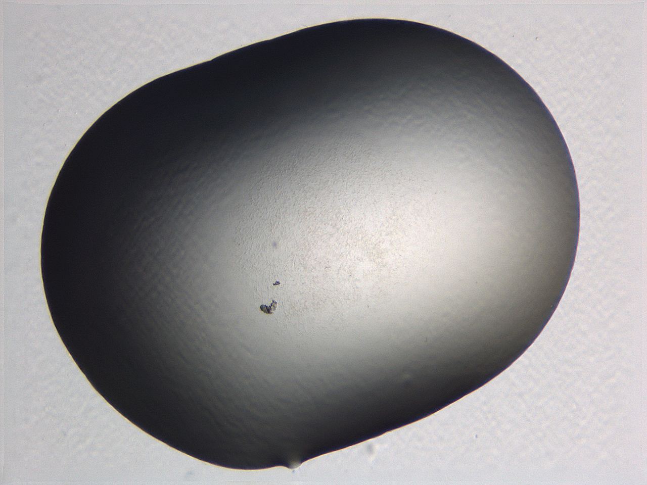 0635_D4_ImagerDefaults_0.jpg