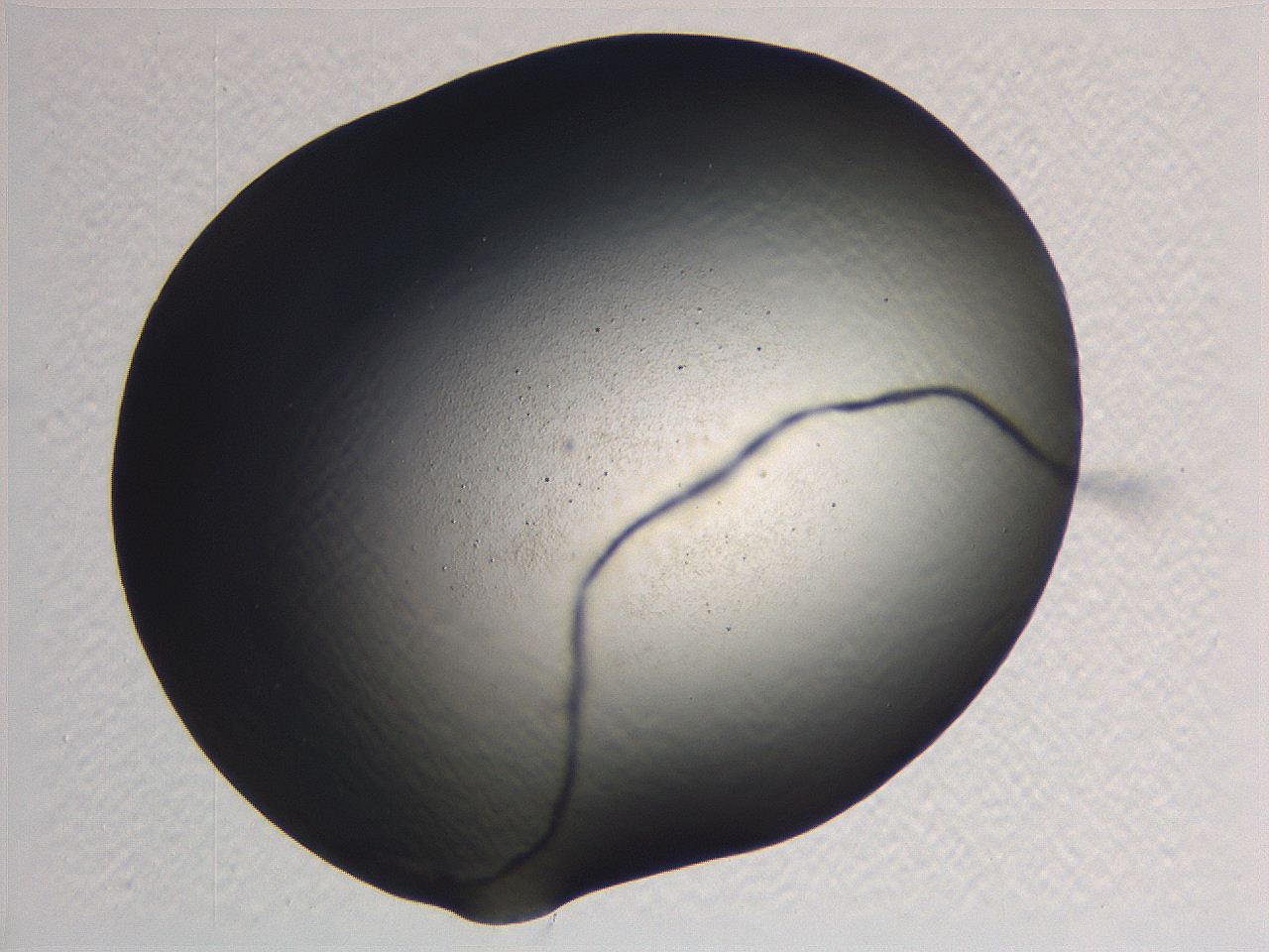 0635_D5_ImagerDefaults_0.jpg