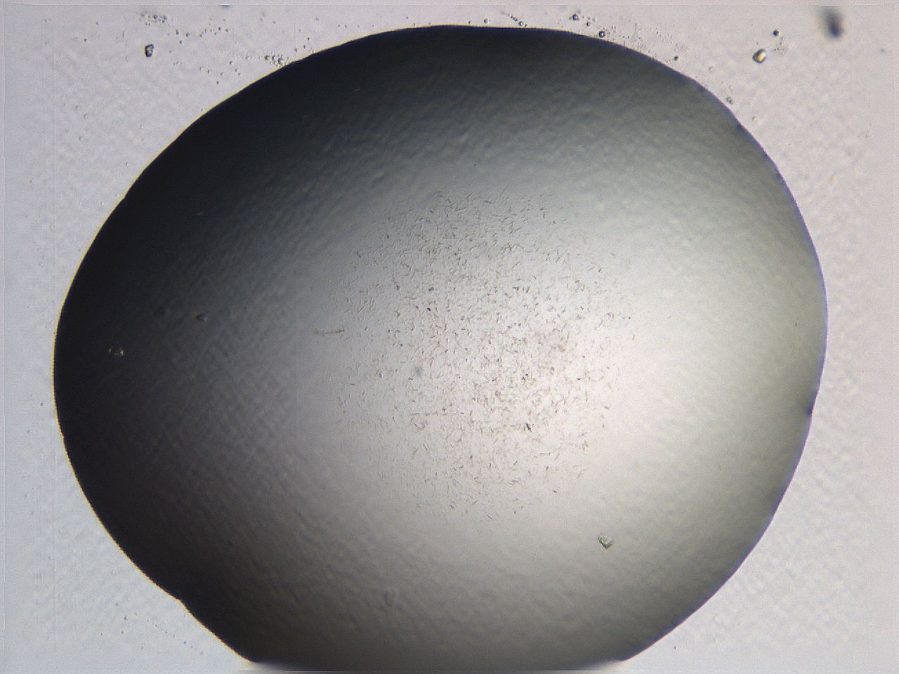 0635_D6_ImagerDefaults_0.jpg