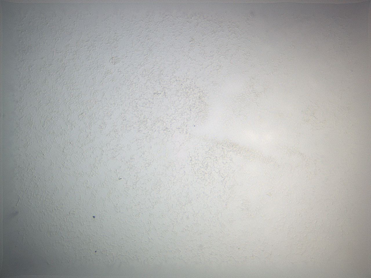 0635_D7_ImagerDefaults_0.jpg