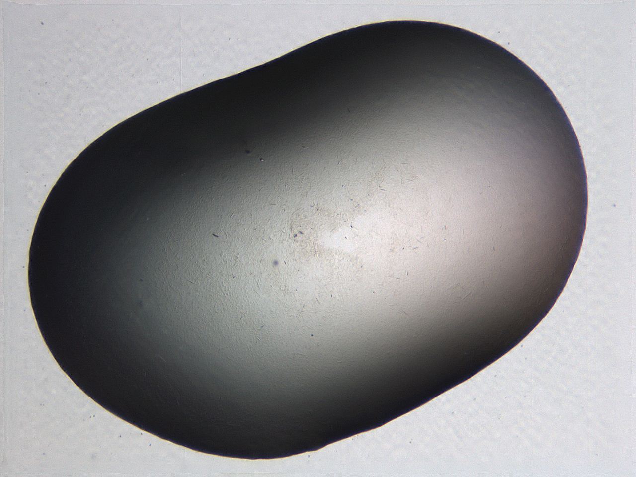 0635_D8_ImagerDefaults_0.jpg