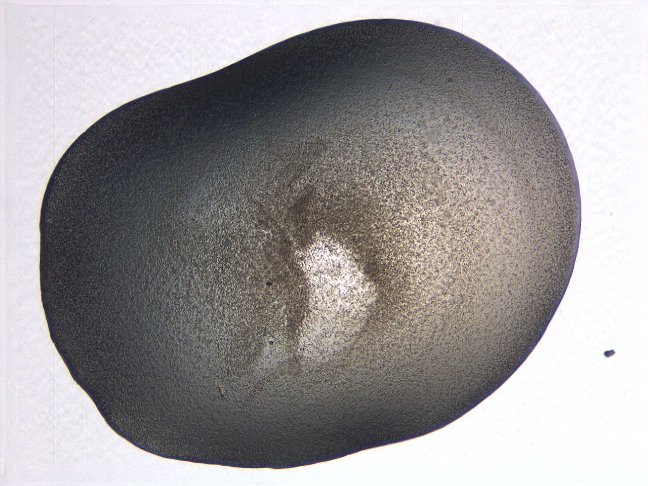 0635_D9_ImagerDefaults_3.jpg