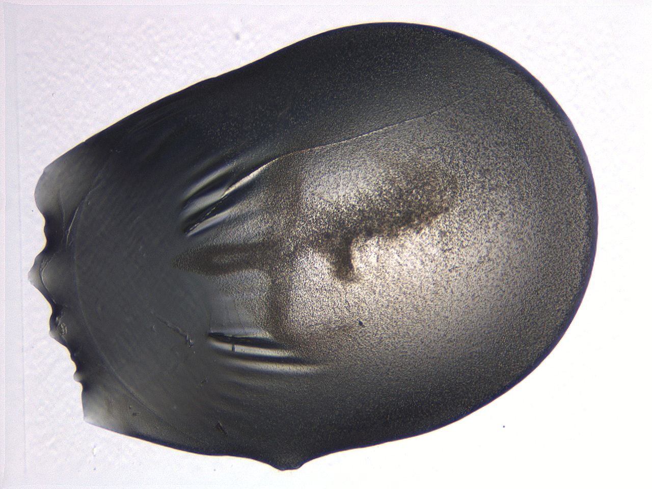 0635_D10_ImagerDefaults_3.jpg